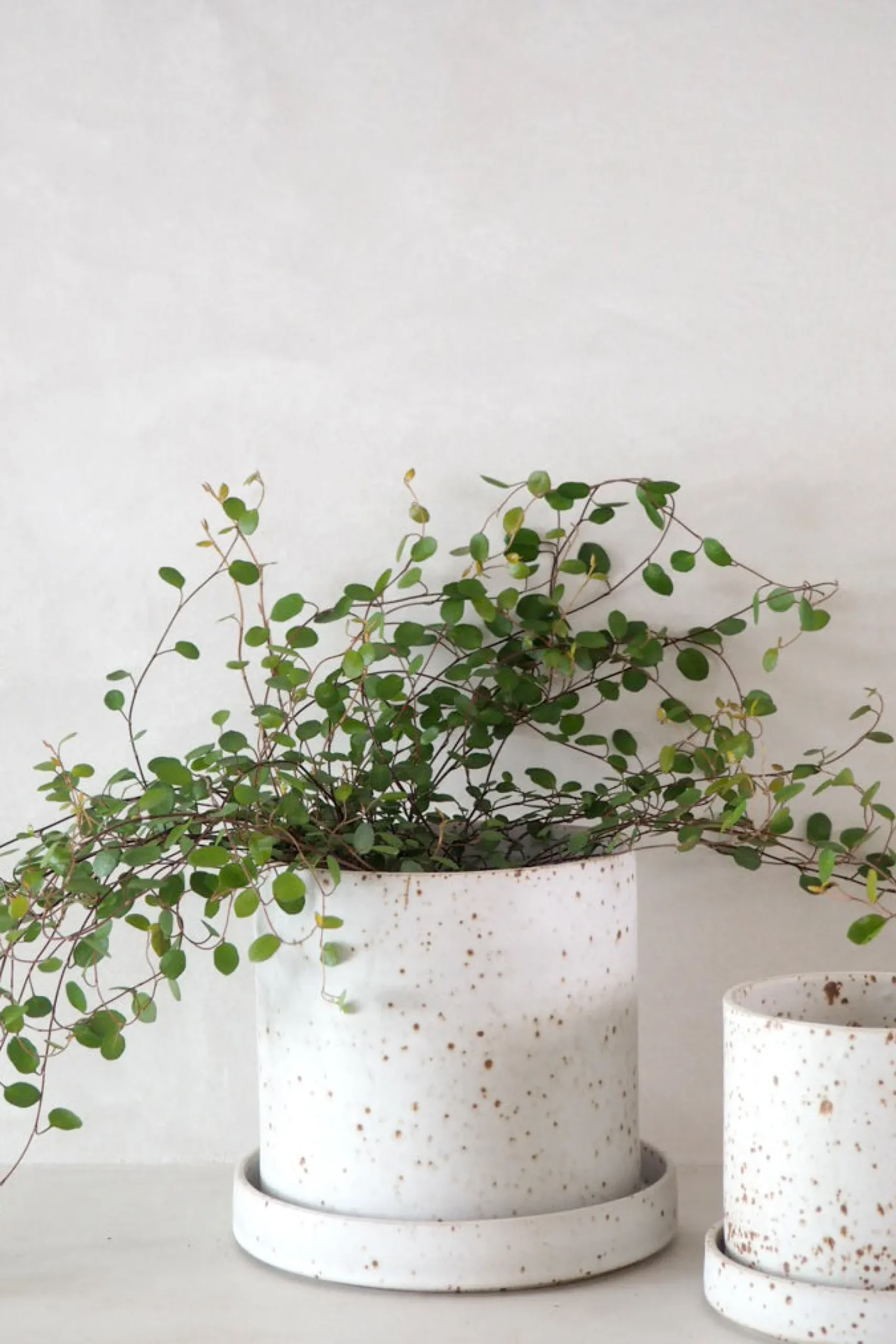 Håndlavede Krukker|Glaserede Krukker^PLANT V.O krukke - hvid, small