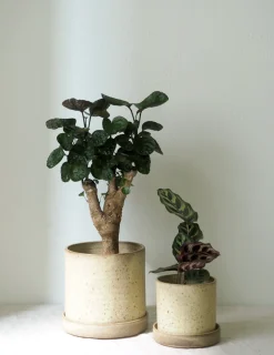 Håndlavede Krukker|Glaserede Krukker^PLANT V.O krukke - sand, large
