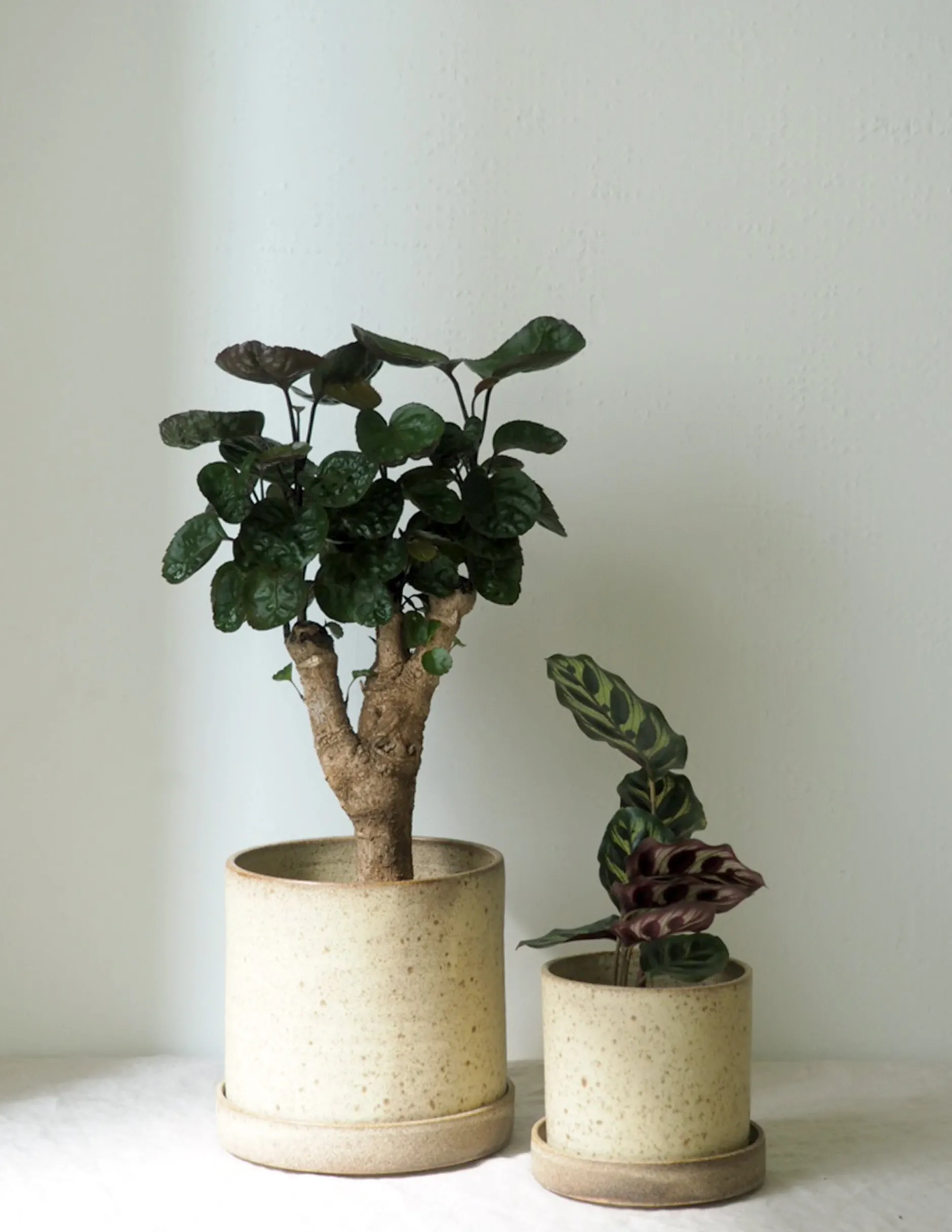 Håndlavede Krukker|Glaserede Krukker^PLANT V.O krukke - sand, large
